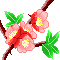 purijuri1