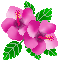 haibi1.gif