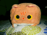 image.JPG