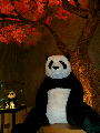 image.JPG