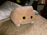 image.JPG